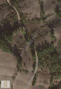Arsa-Tarla