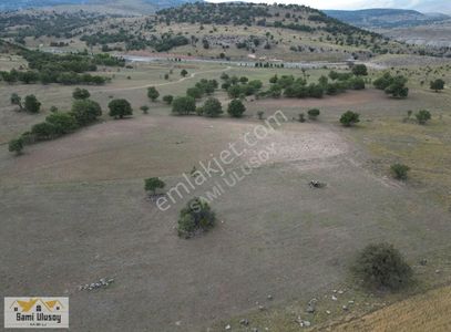Arsa-Tarla