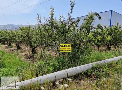 Arsa-Sanayi İmarlı