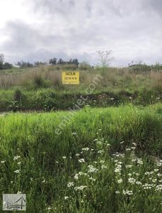 Arsa-Tarla
