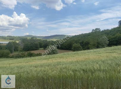 Arsa-Tarla