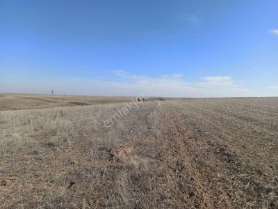 Arsa-Tarla