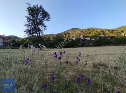 Arsa-Villa İmarlı