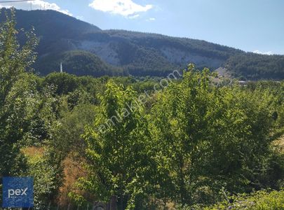 Arsa-Konut İmarlı