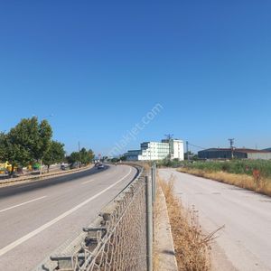 Arsa-Tarla