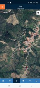 Arsa-Zeytinlik