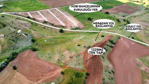 Arsa-Bağ & Bahçe