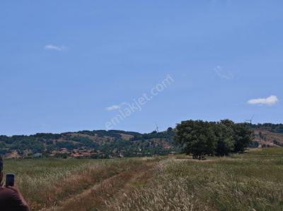 Arsa-Bağ & Bahçe