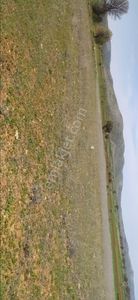 Arsa-Tarla
