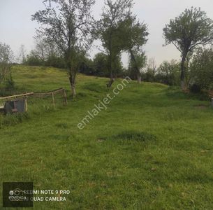 Arsa-Bağ & Bahçe
