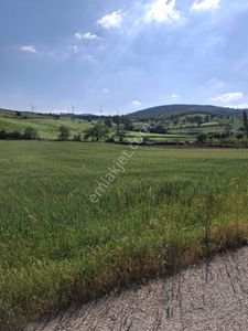 Arsa-Tarla