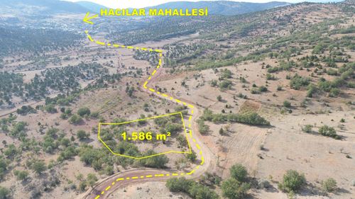 Arsa-Tarla
