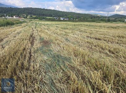 Arsa-Tarla