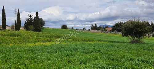 Arsa-Tarla