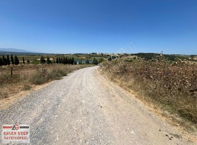 Arsa-Tarla