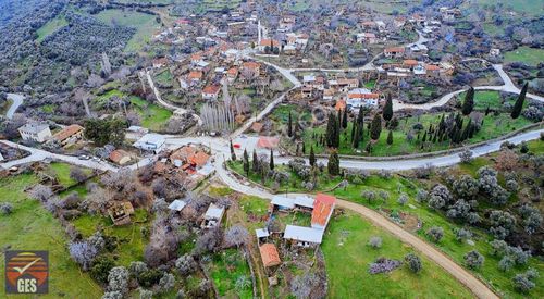 Arsa-Zeytinlik