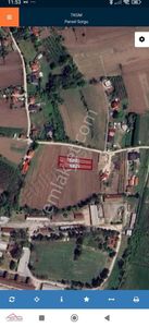 Arsa-Tarla