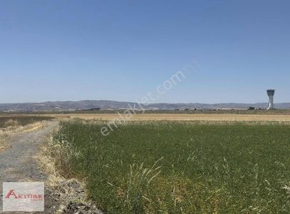 Arsa-Tarla