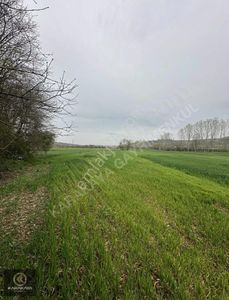 Arsa-Tarla