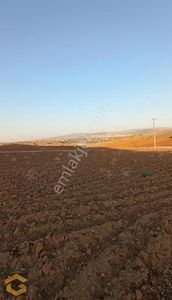 Arsa-Konut İmarlı