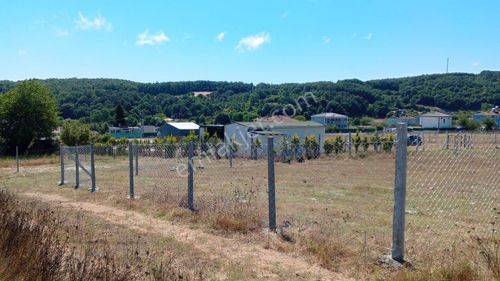 Arsa-Tarla