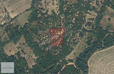 Arsa-Tarla