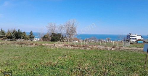 Arsa-Konut İmarlı