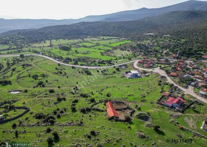 Arsa-Konut İmarlı