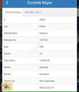 Arsa-Zeytinlik