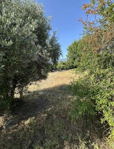 Arsa-Tarla