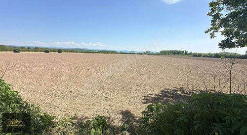 Arsa-Tarla