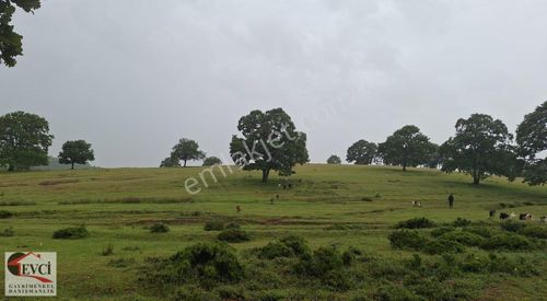 Arsa-Tarla