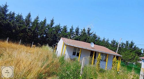Konut-Müstakil Ev