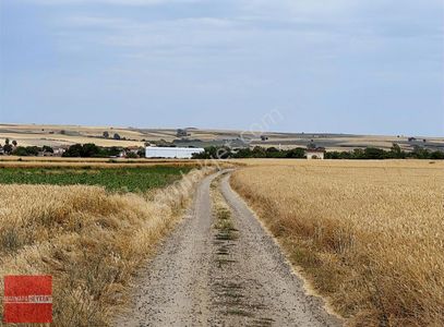 Arsa-Tarla