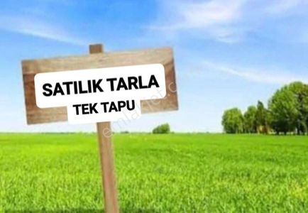 Arsa-Tarla