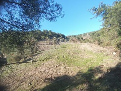 Arsa-Tarla