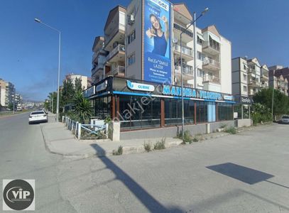 İşyeri-Dükkan & Mağaza