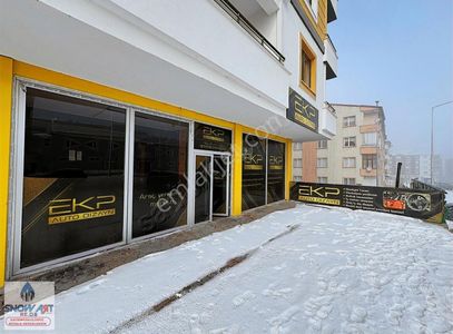 İşyeri-Dükkan & Mağaza