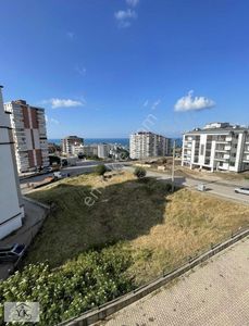 İşyeri-Apartman Dairesi