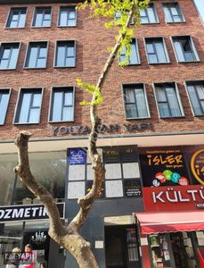 İşyeri-Ofis