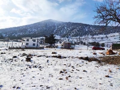 Arsa-Konut İmarlı
