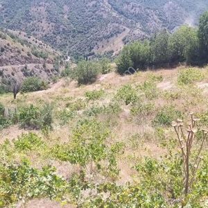 Arsa-Bağ & Bahçe
