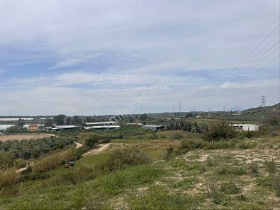 Arsa-Tarla