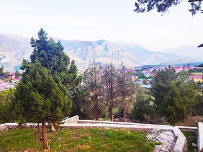 Arsa-Konut İmarlı