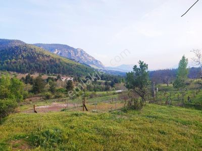 Arsa-Konut İmarlı