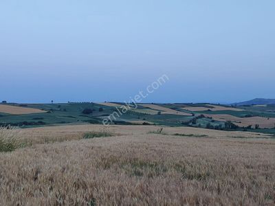 Arsa-Tarla