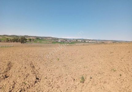 Arsa-Tarla