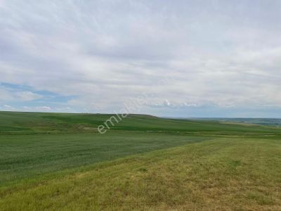 Arsa-Tarla