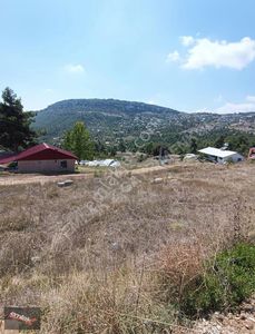 Arsa-Tarla
