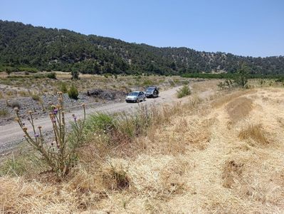 Arsa-Tarla